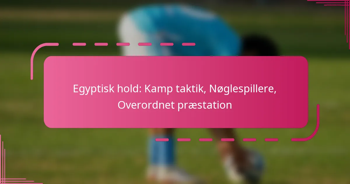 Egyptisk hold: Kamp taktik, Nøglespillere, Overordnet præstation