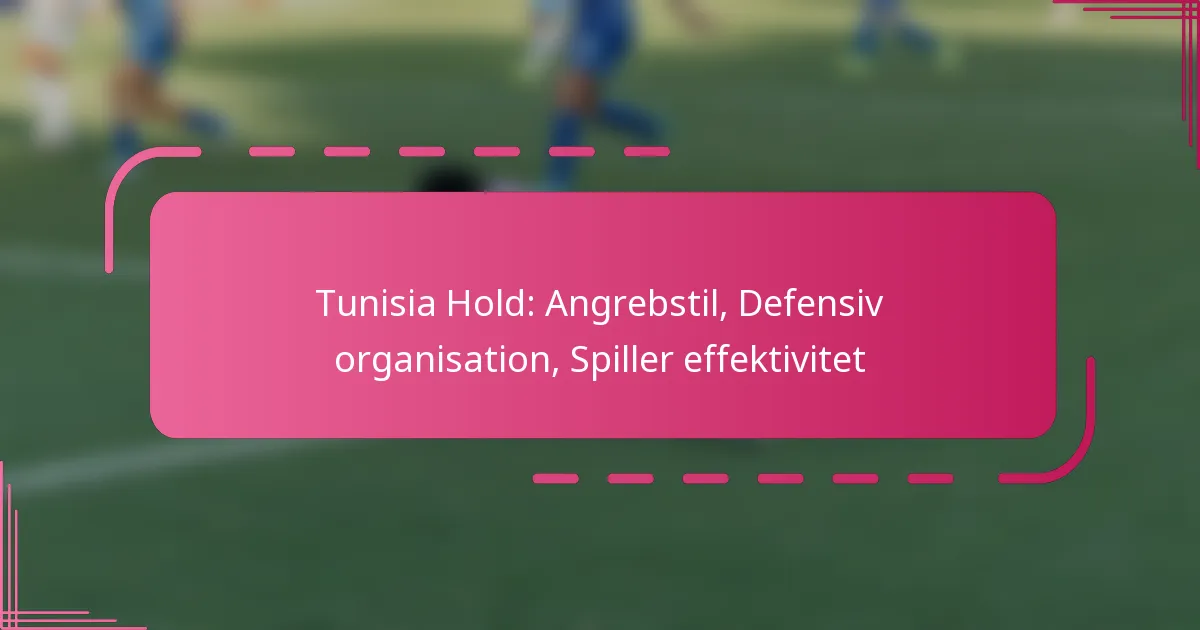 Tunisia Hold: Angrebstil, Defensiv organisation, Spiller effektivitet