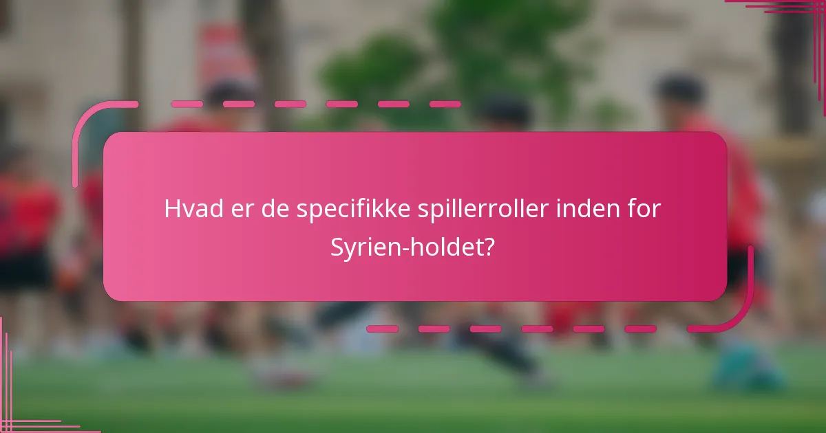 Hvad er de specifikke spillerroller inden for Syrien-holdet?